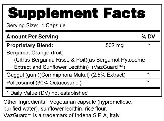 REBALANCE Cholesterol Support